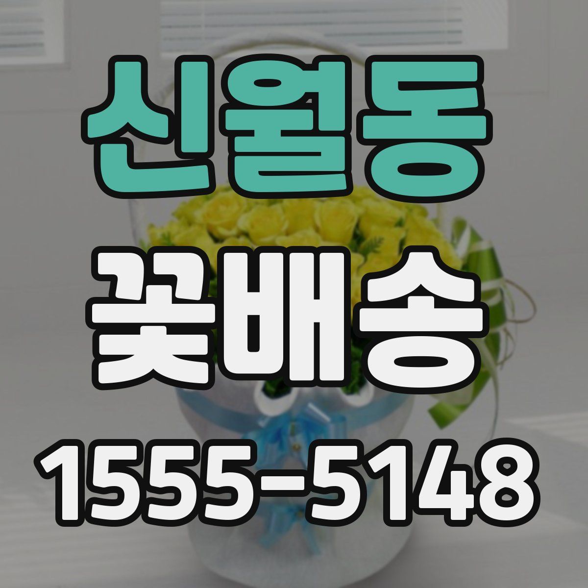 신월동 꽃배송