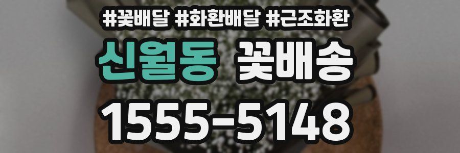 신월동 꽃배송