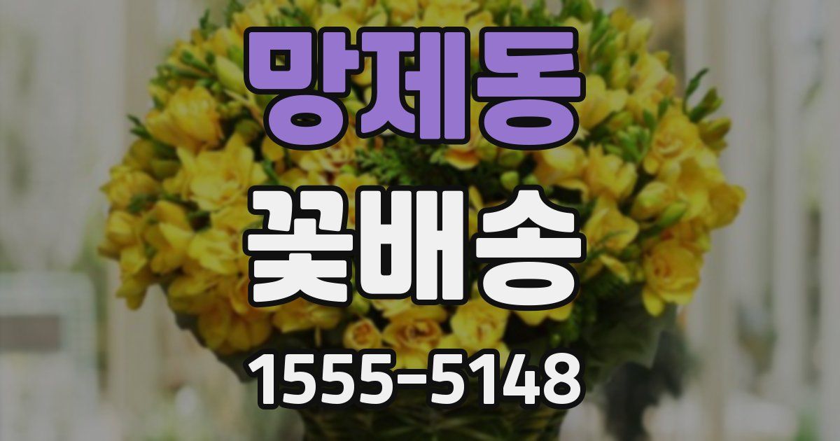 망제동 꽃배송
