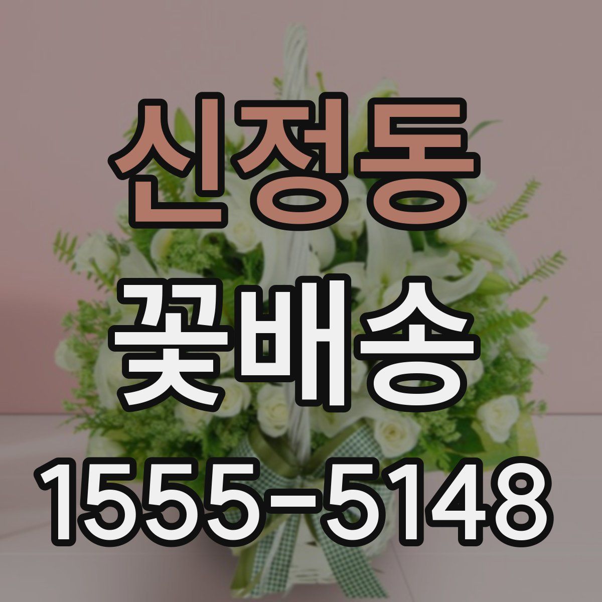 신정동 꽃배송