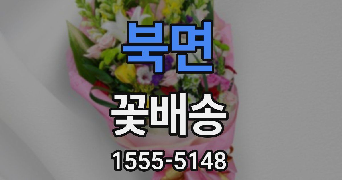 북면 꽃배송