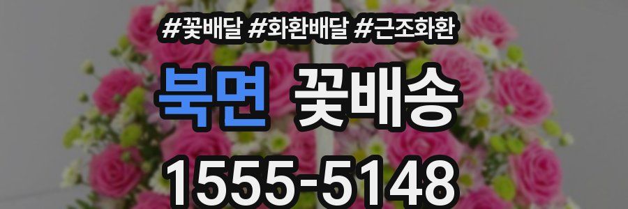 북면 꽃배송