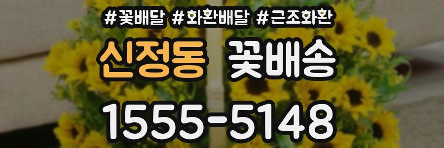 신정동 꽃배송
