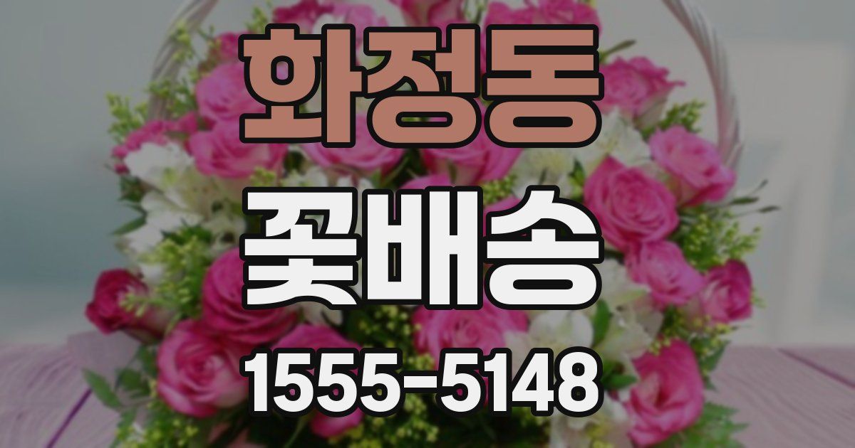 화정동 꽃배송
