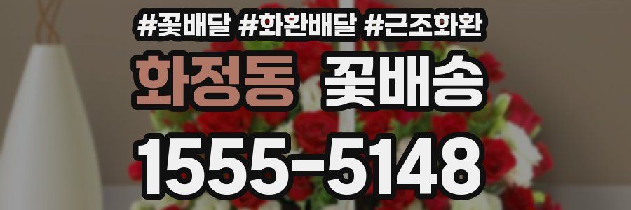 화정동 꽃배송