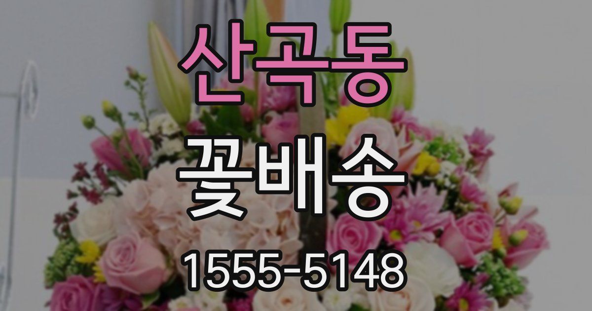 산곡동 꽃배송