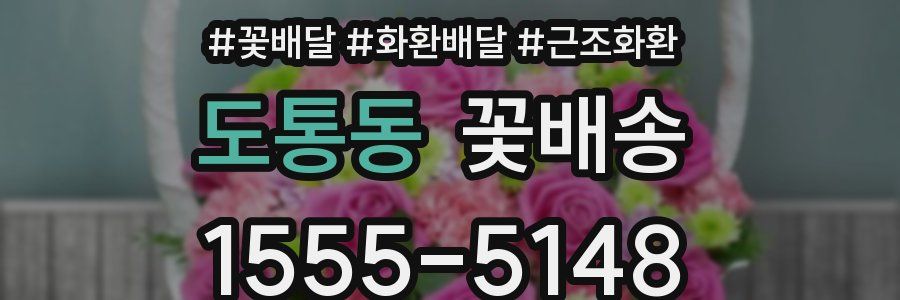 도통동 꽃배송