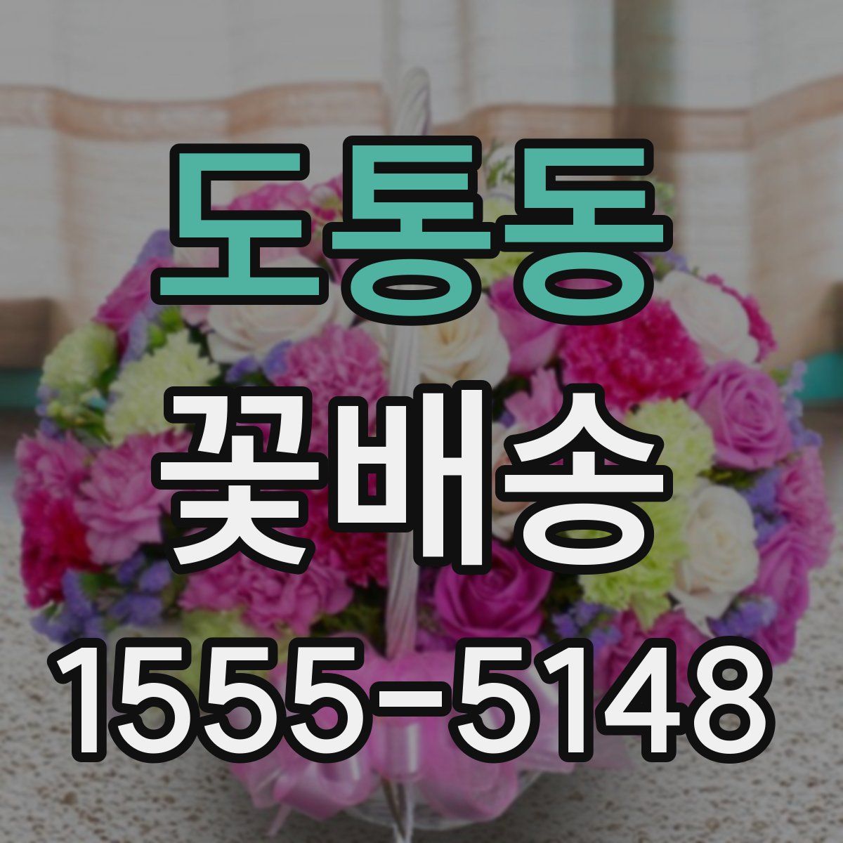도통동 꽃배송