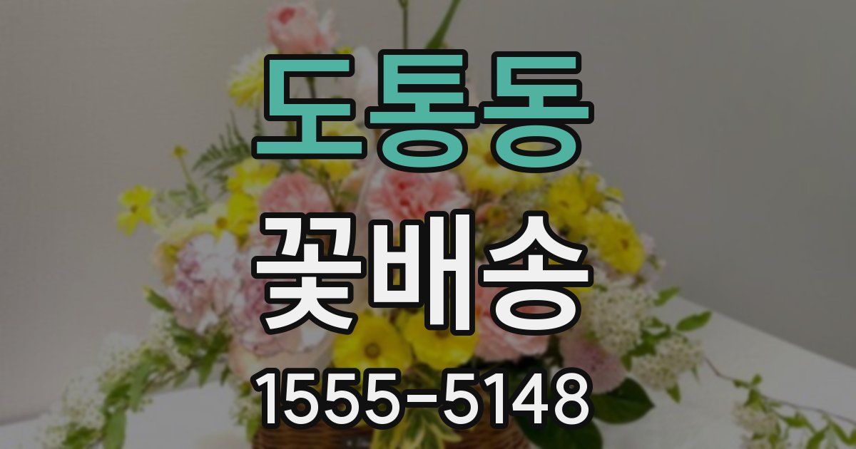 도통동 꽃배송