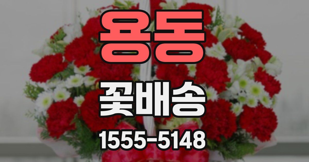 용동 꽃배송
