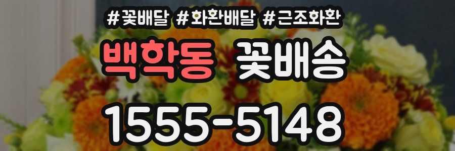 백학동 꽃배송