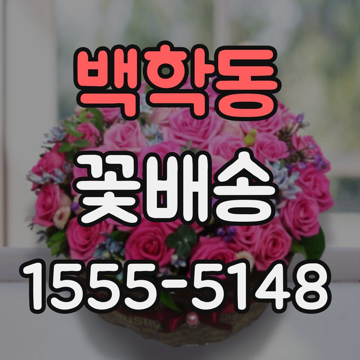 백학동 꽃배송