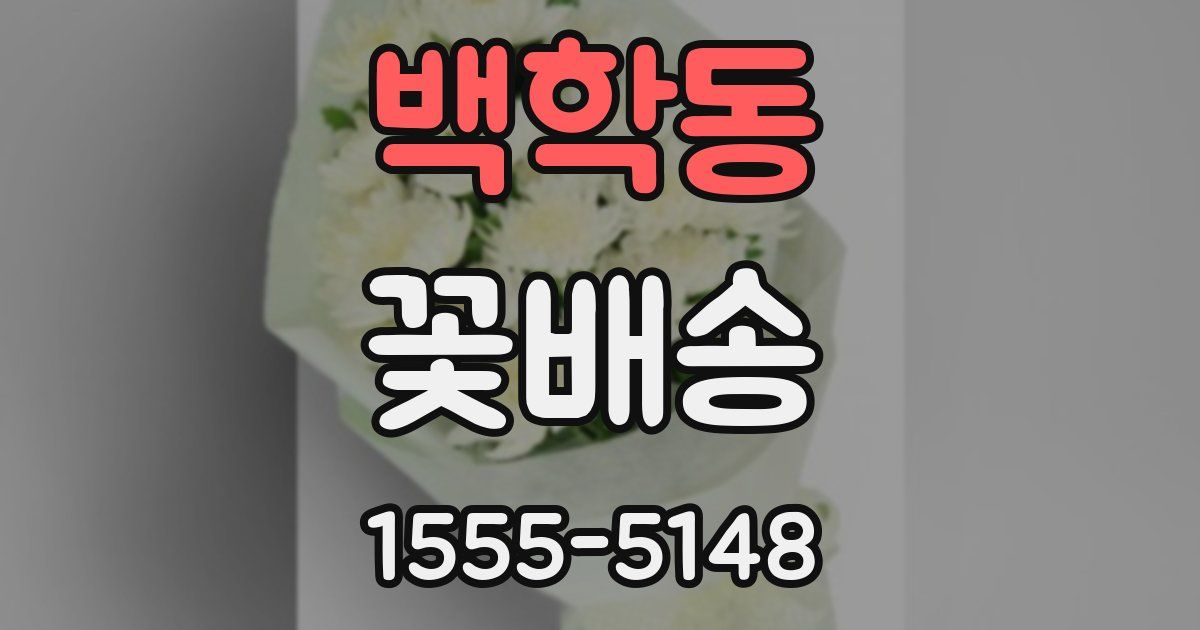 백학동 꽃배송