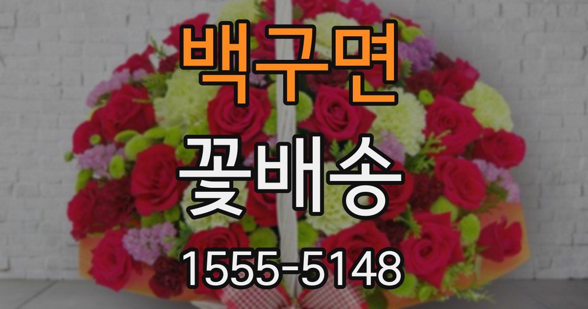 백구면 꽃배송