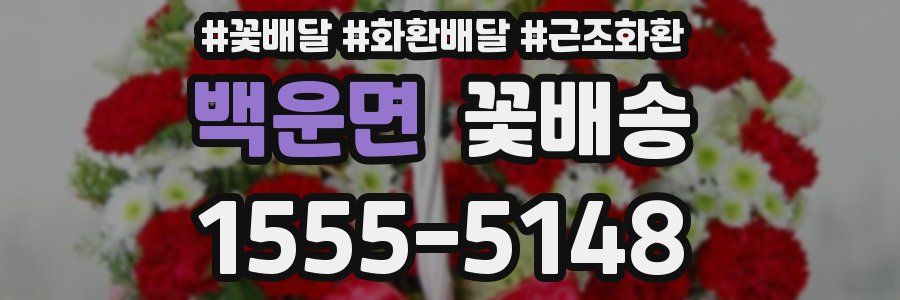 백운면 꽃배송