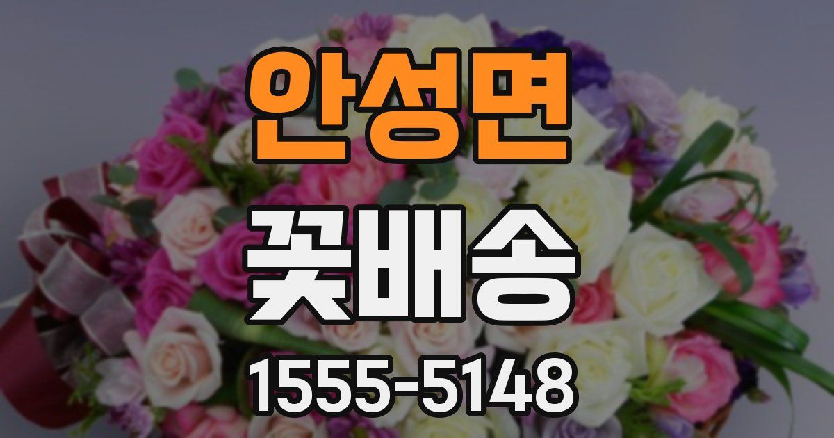 안성면 꽃배송