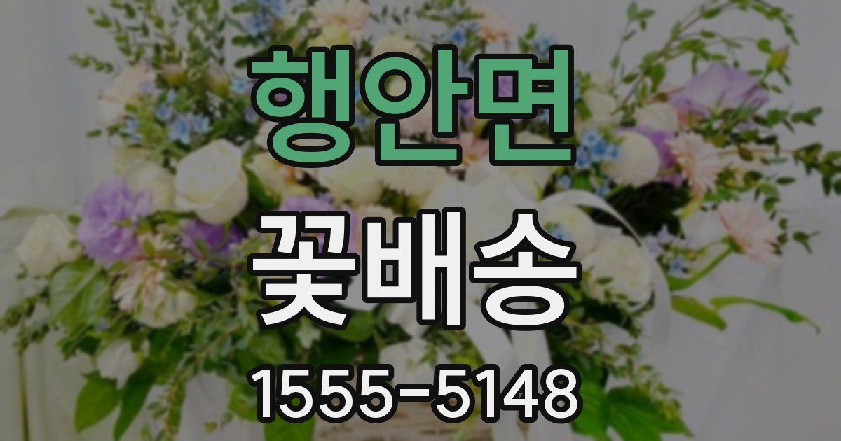 행안면 꽃배송