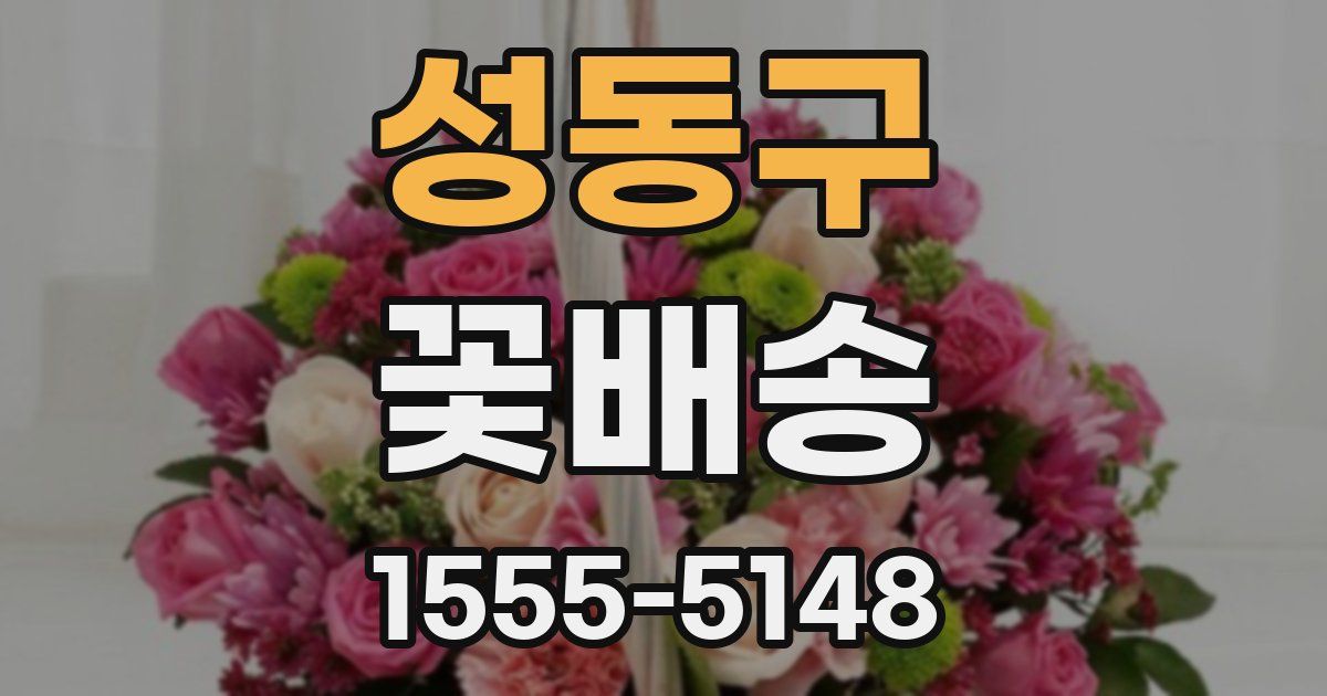 성동구 꽃배송
