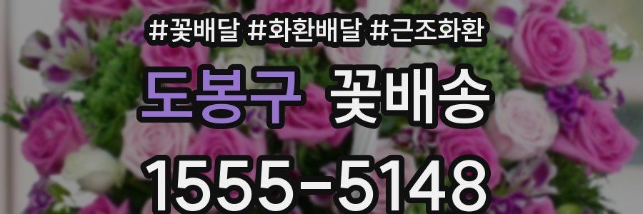 도봉구 꽃배송