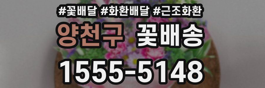 양천구 꽃배송