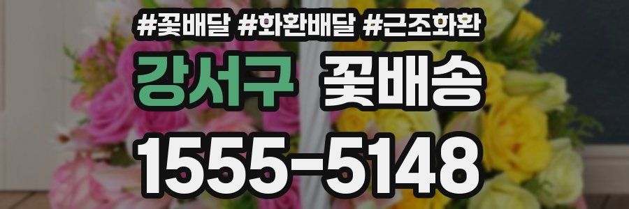 강서구 꽃배송