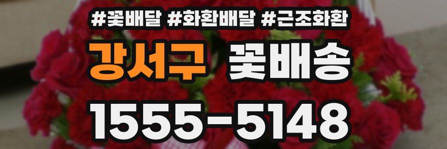 강서구 꽃배송