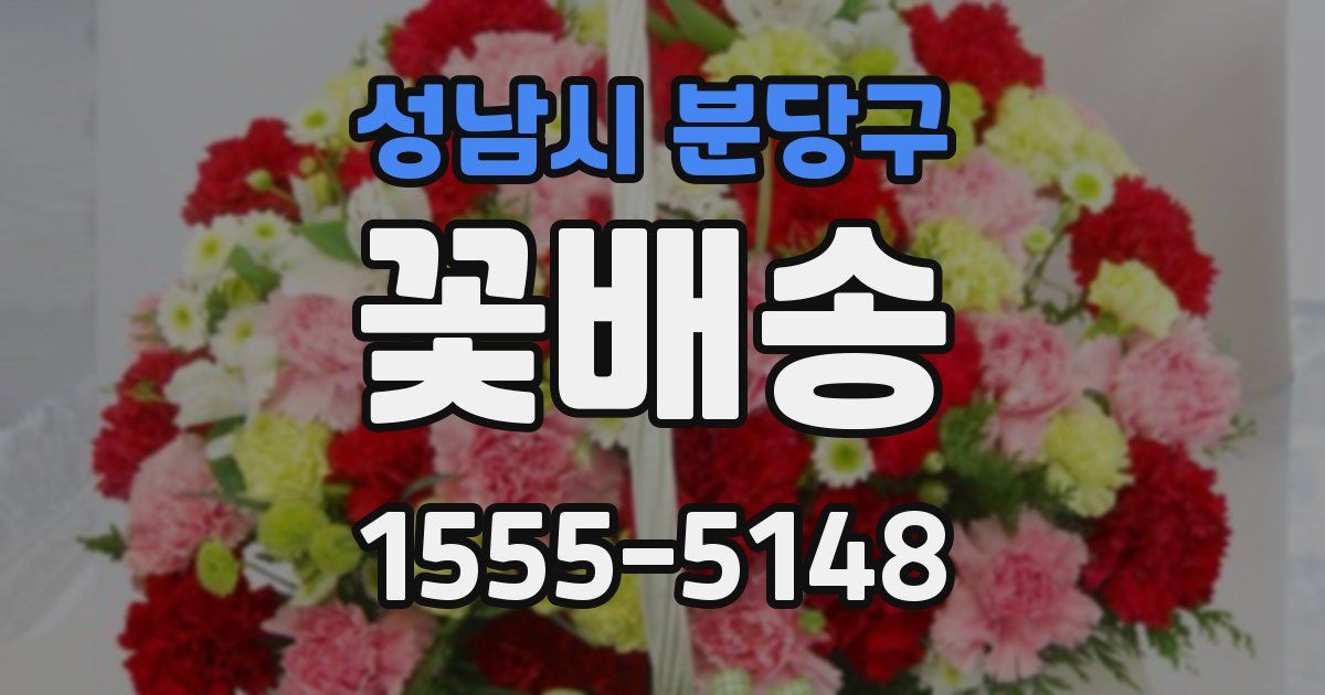 성남시 분당구 꽃배송