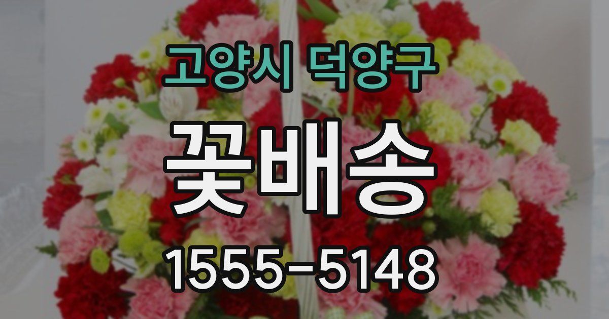 고양시 덕양구 꽃배송