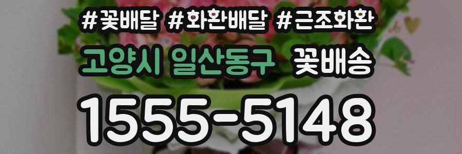 고양시 일산동구 꽃배송
