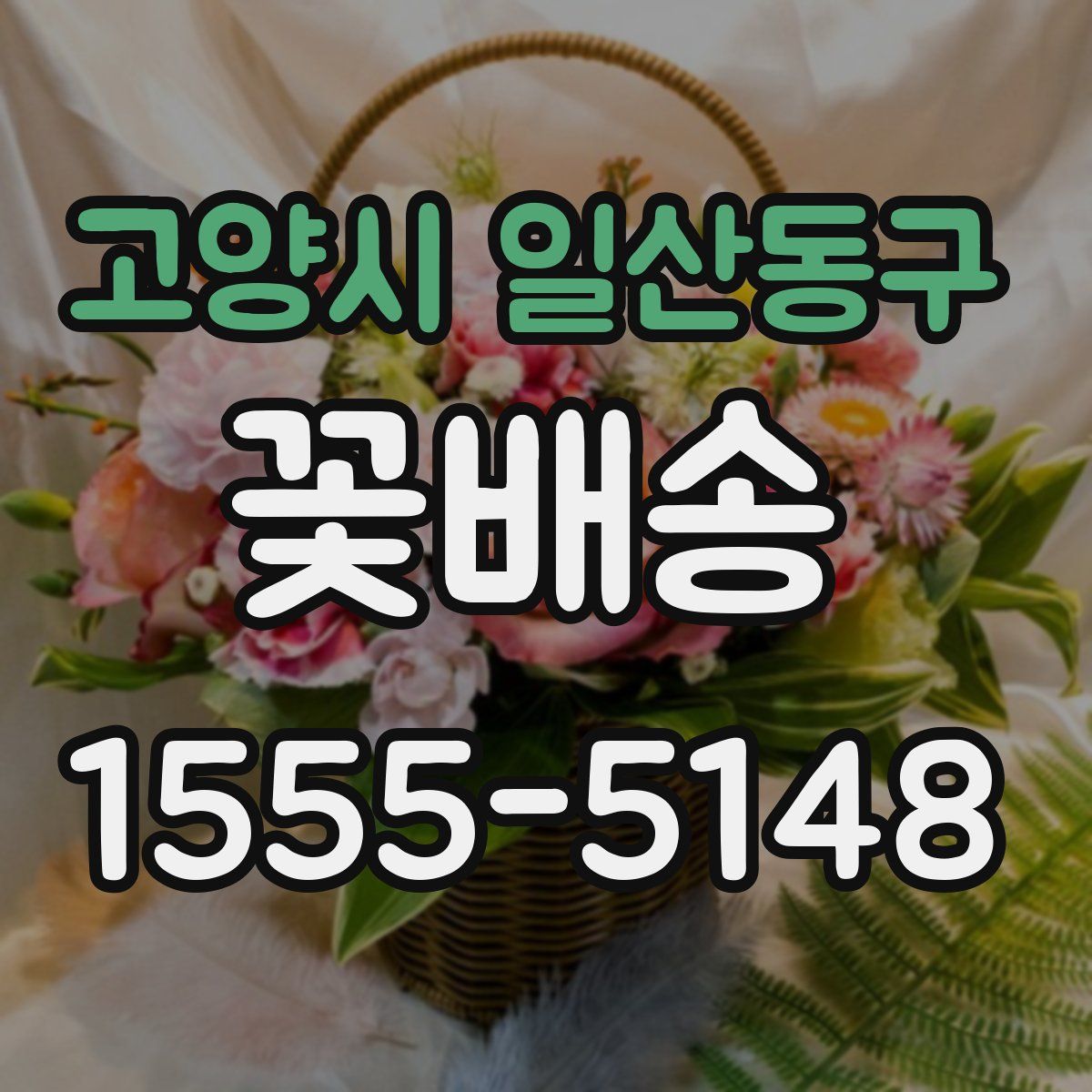 고양시 일산동구 꽃배송