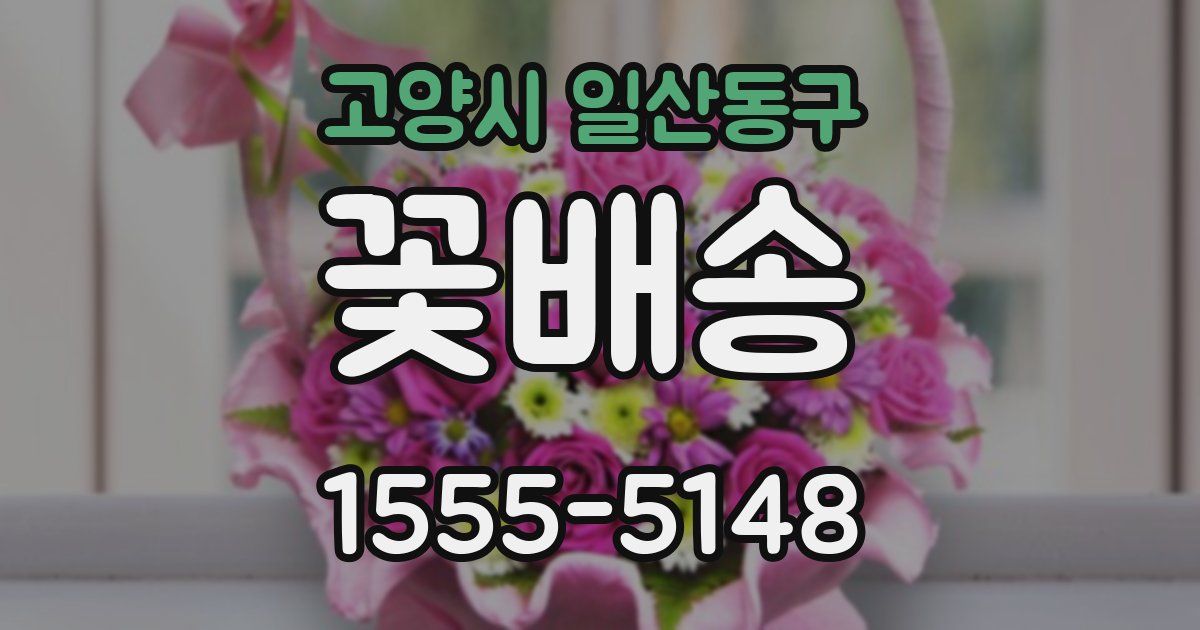고양시 일산동구 꽃배송