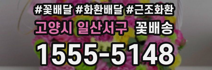 고양시 일산서구 꽃배송