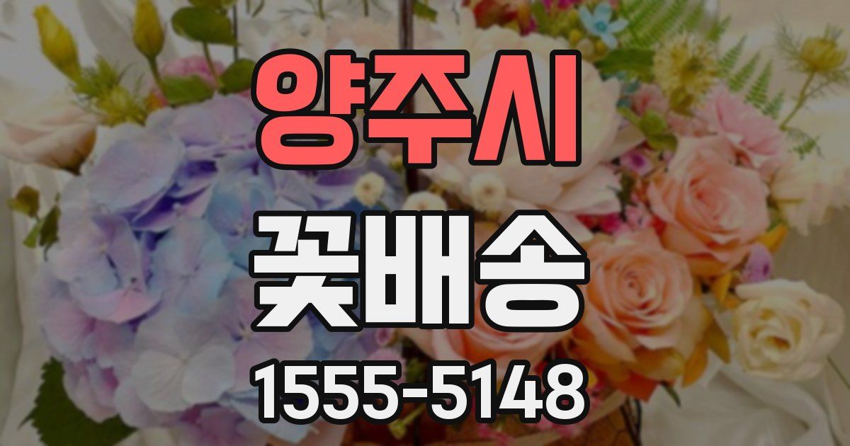 양주시 꽃배송