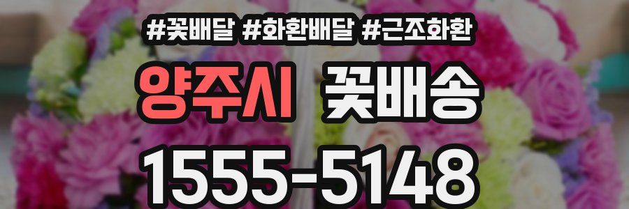 양주시 꽃배송