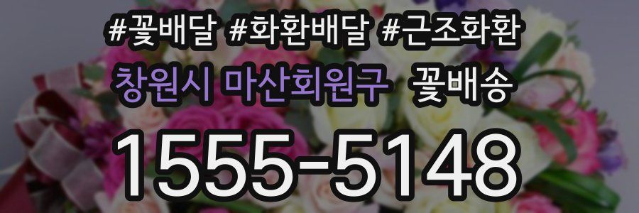 창원시 마산회원구 꽃배송
