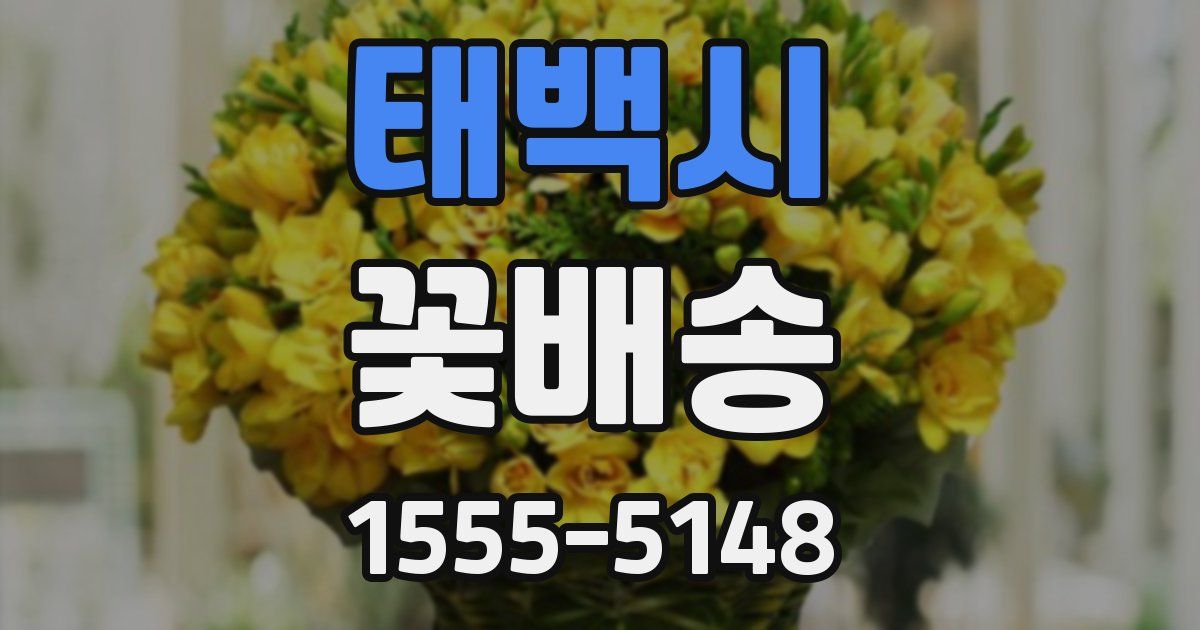 태백시 꽃배송