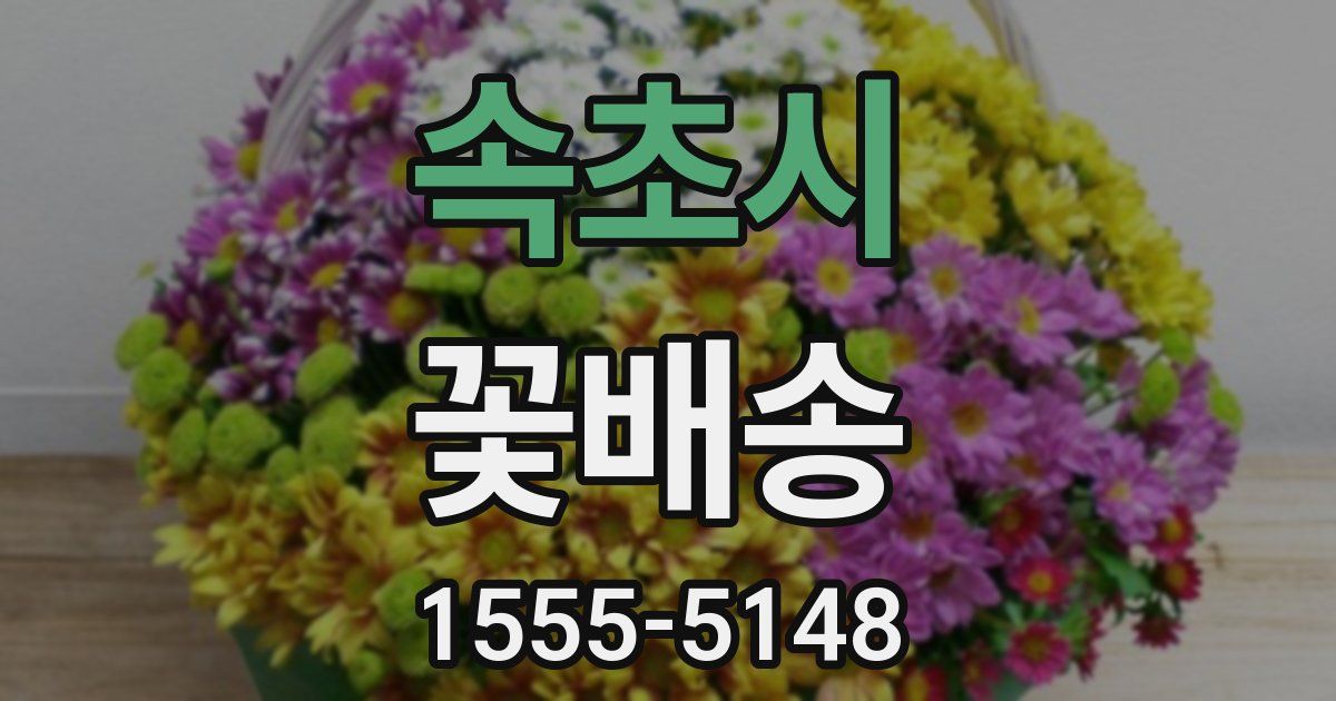 속초시 꽃배송