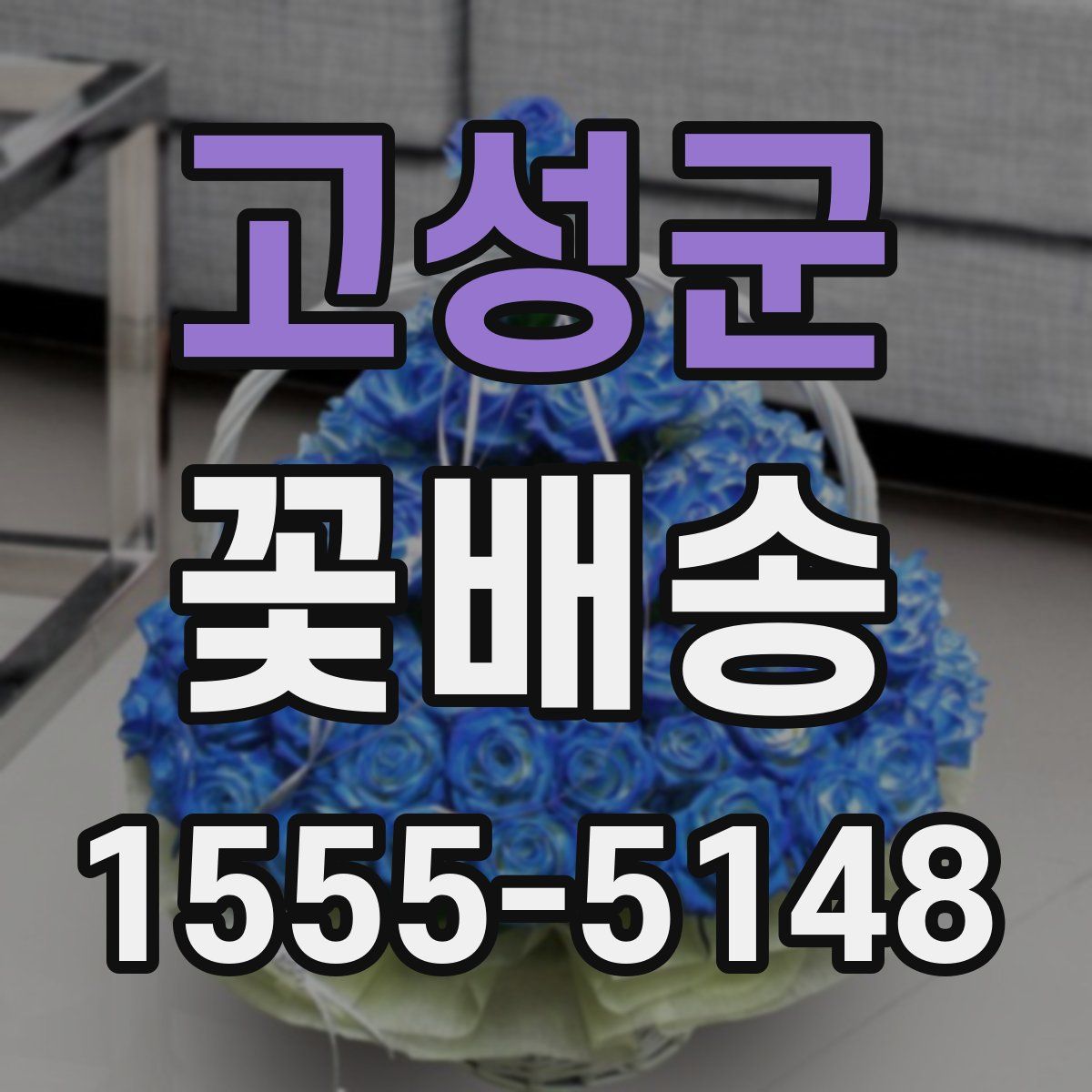 고성군 꽃배송