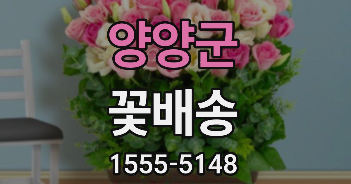 양양군 꽃배송