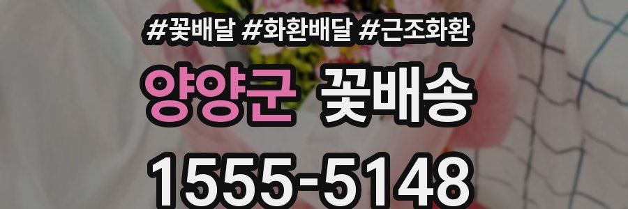 양양군 꽃배송