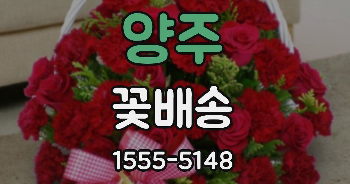 양주 꽃배송