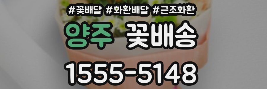 양주 꽃배송