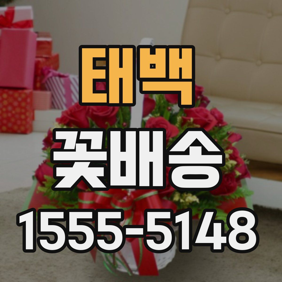 태백 꽃배송