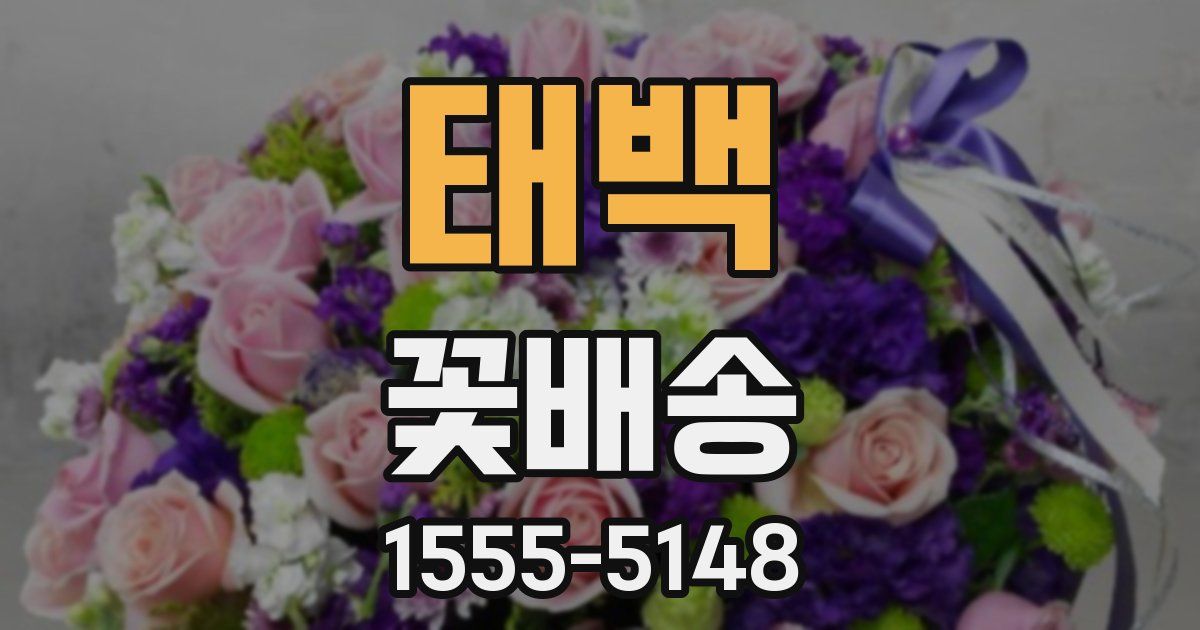 태백 꽃배송