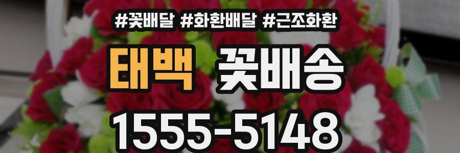 태백 꽃배송