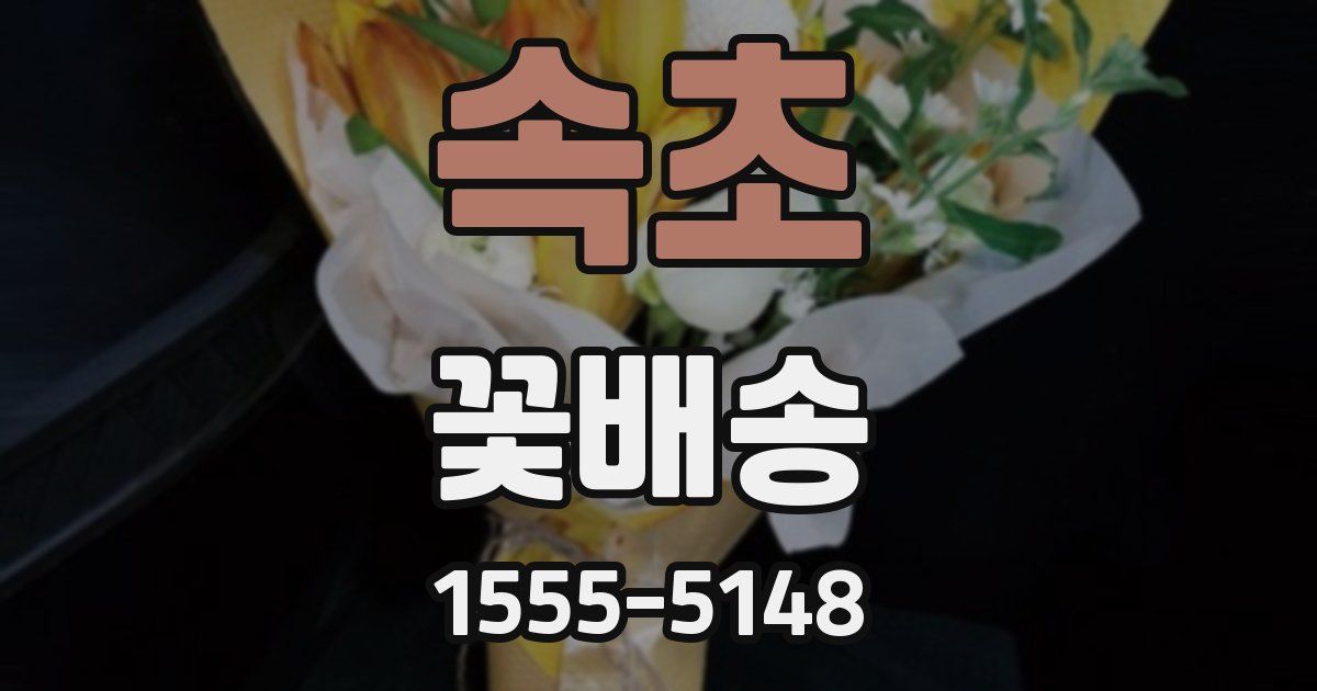 속초 꽃배송
