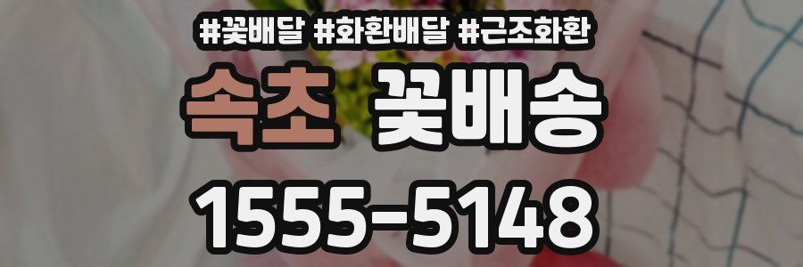 속초 꽃배송