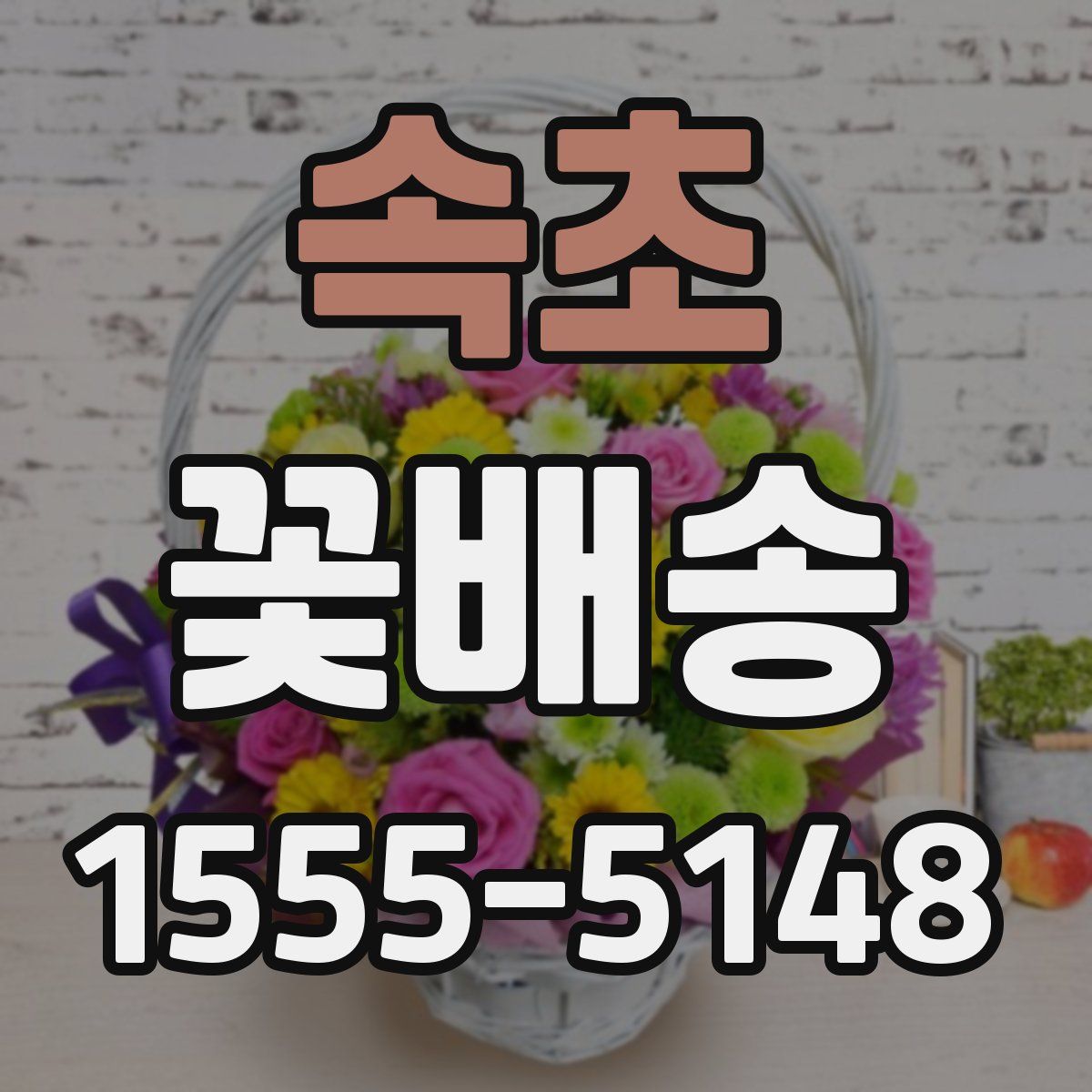 속초 꽃배송