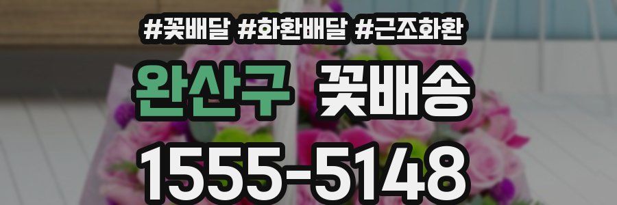 완산구 꽃배송