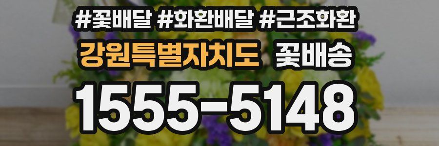 강원특별자치도 꽃배송